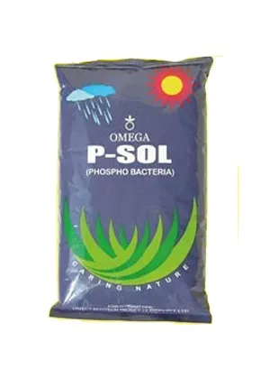 P-SOL