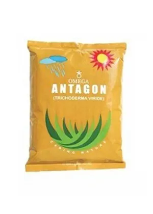 Antagon